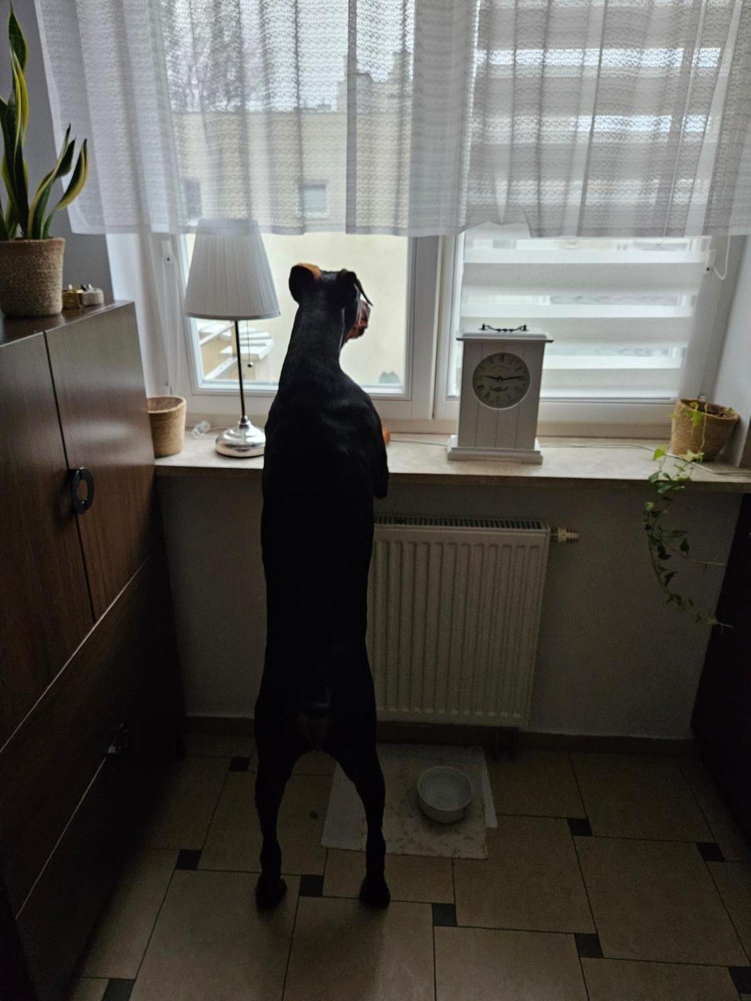 Ak Polnoc Warschau